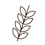 Ícone