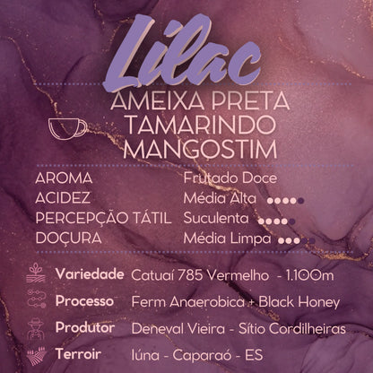 Café Lilac - Reserva Especial | Cafetto 100g