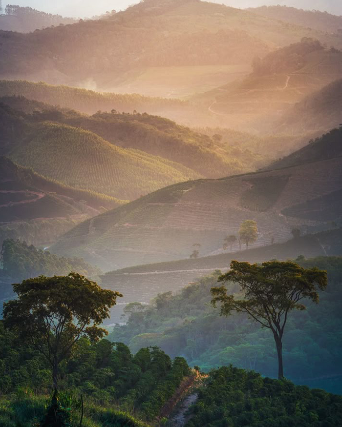 MINAS GERAIS