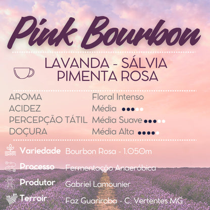 Café Pink Bourbon | Cafetto 250g